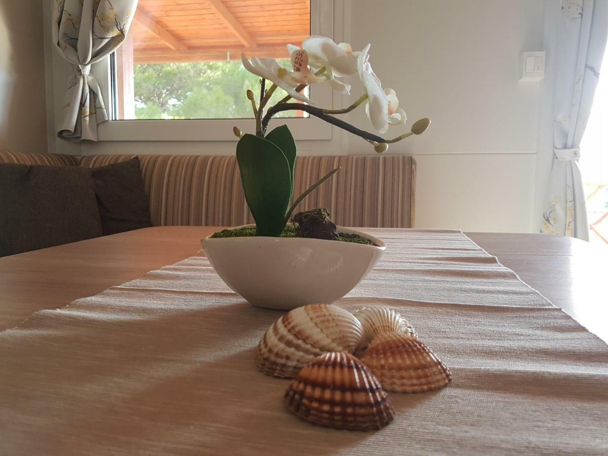 Mobile Homes Seashell Jezera Eksteriør billede